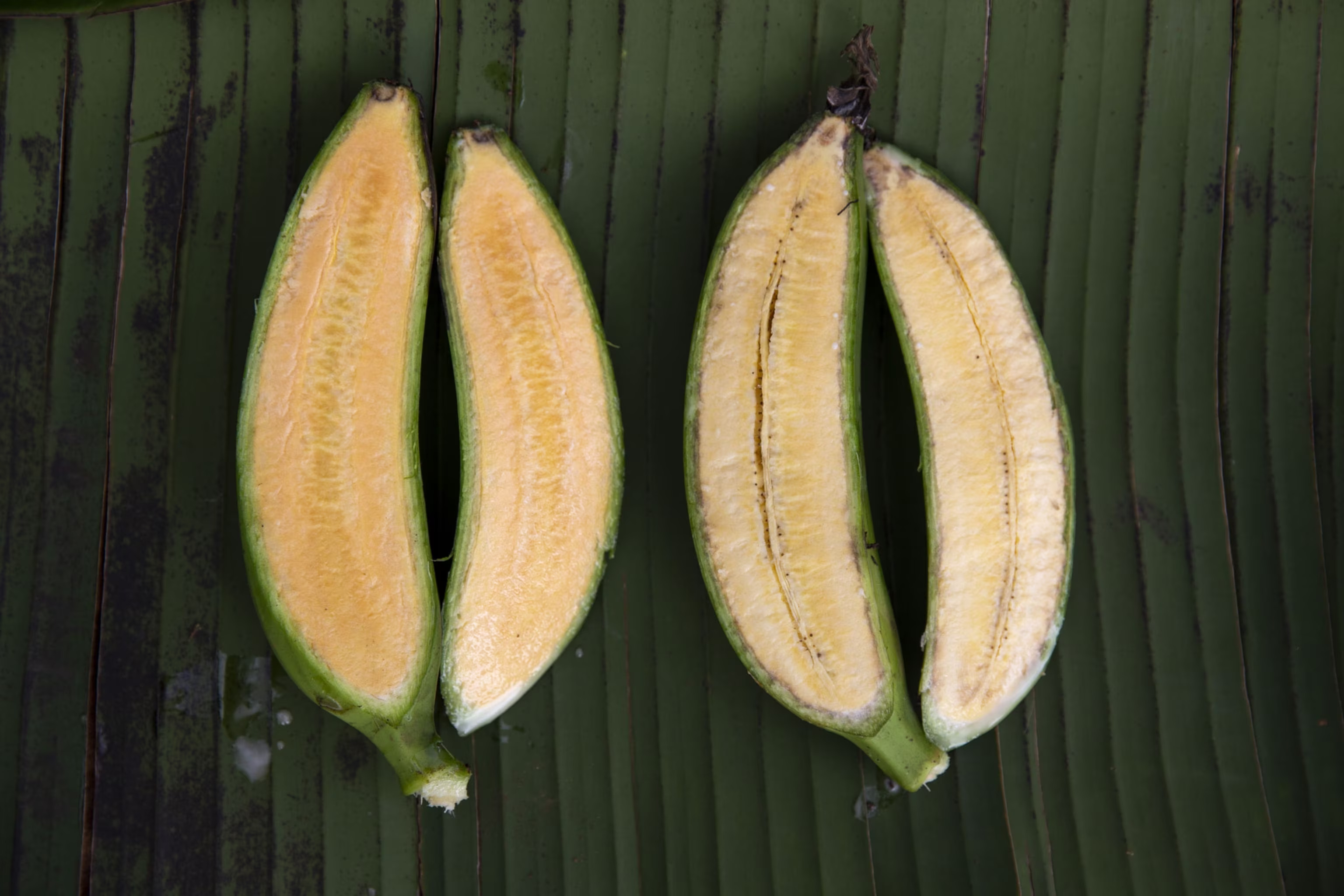 This ‘Super Banana’ Was Designed To Save Lives. Will It Matter That It